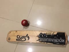 used kookaburra hardball bat.