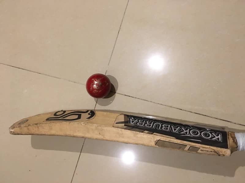 used kookaburra hardball bat. 2