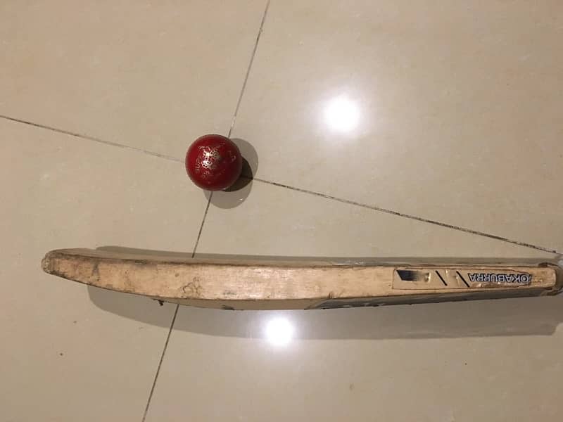 used kookaburra hardball bat. 3