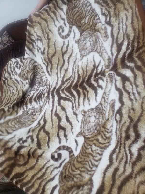 Tiger Blanket 1