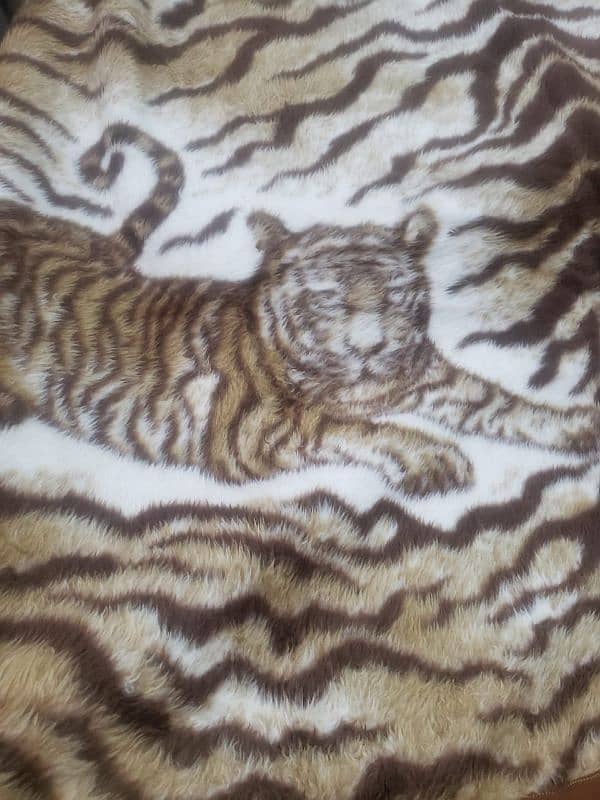 Tiger Blanket 3