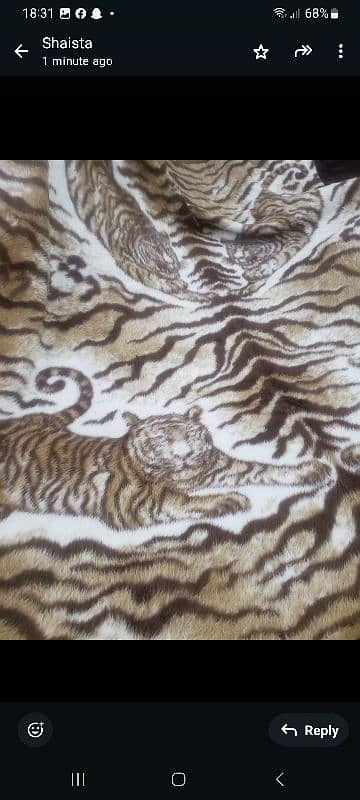 Tiger Blanket 4