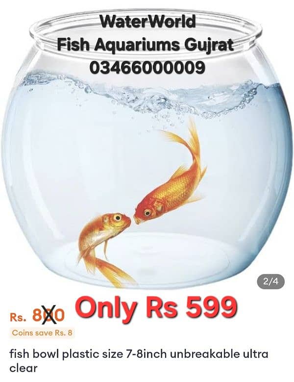 Fancy Fish Bowl 1