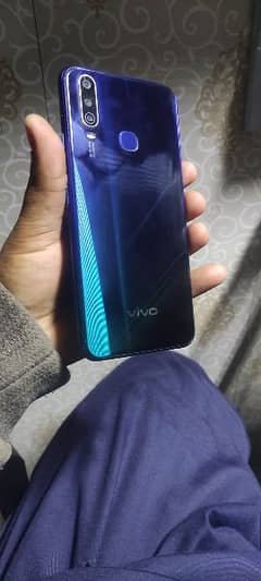 Vivo