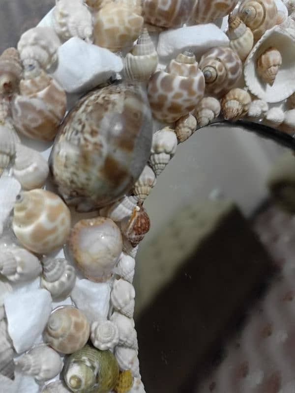 mirror decor with sea shells 2