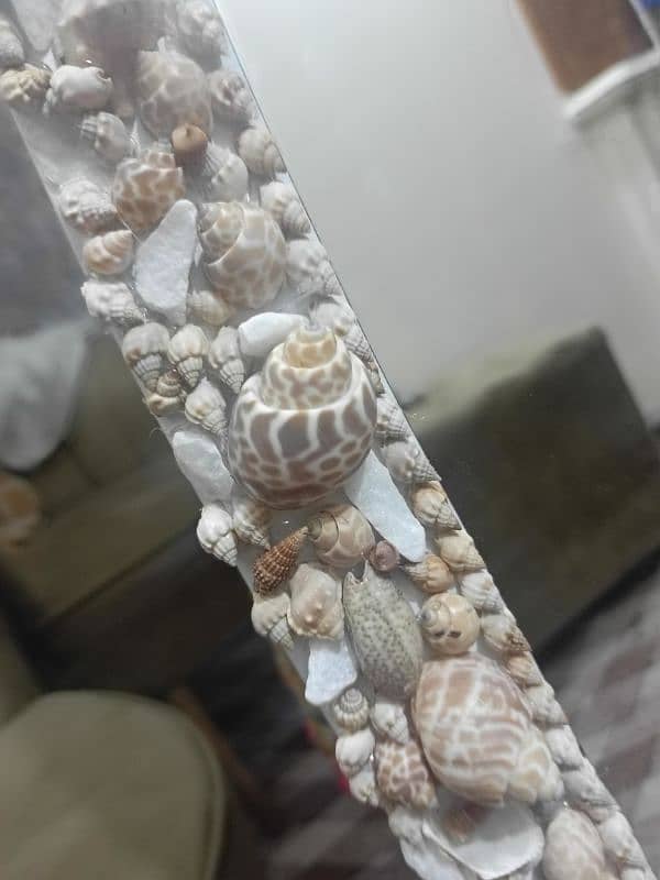 mirror decor with sea shells 5