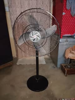 Floor Fan for sell