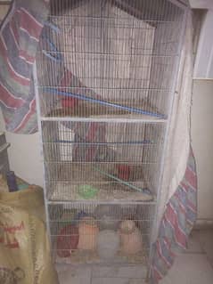 birds 3 portion cage