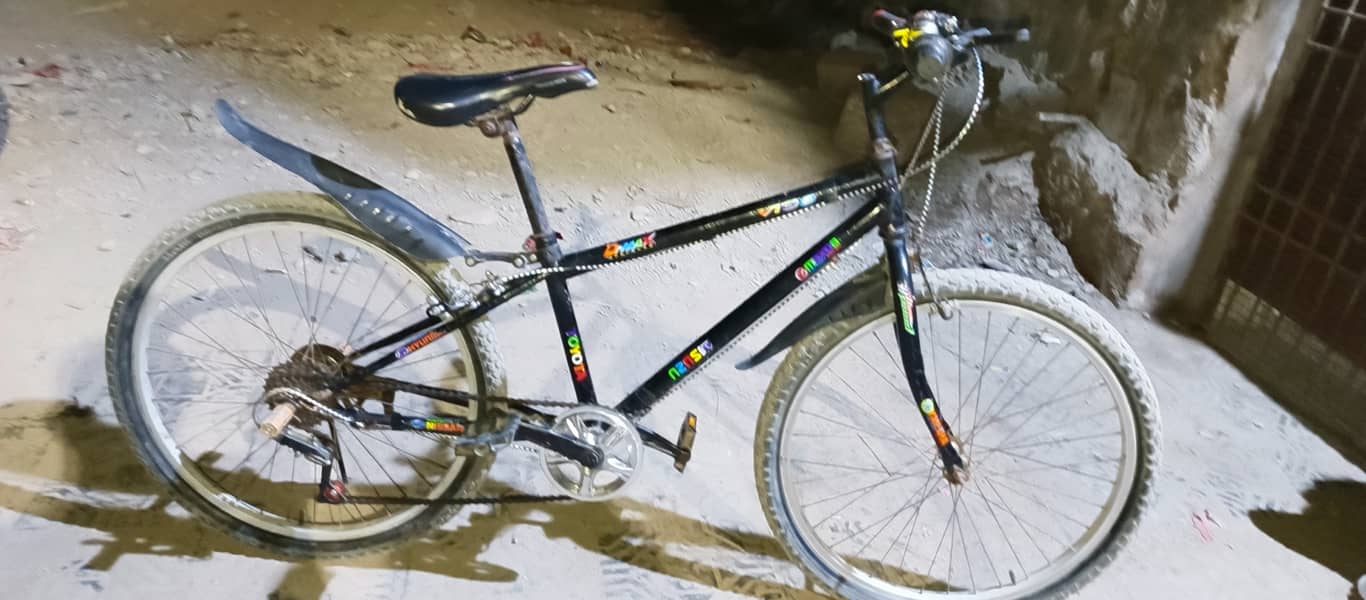 24" Bicycle For Sale ( Single Frame ) 0