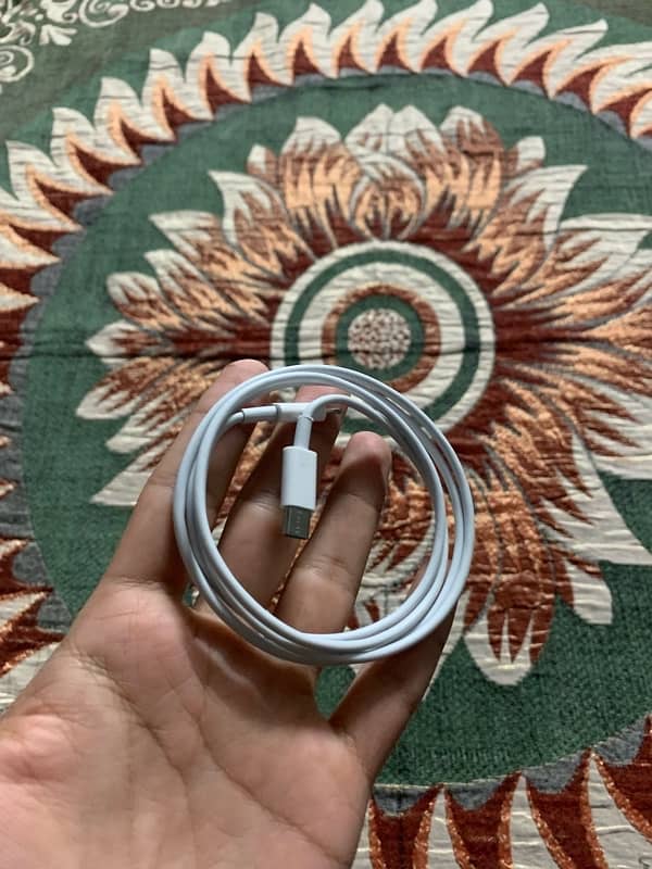 apple fast charger adapter and wire 1