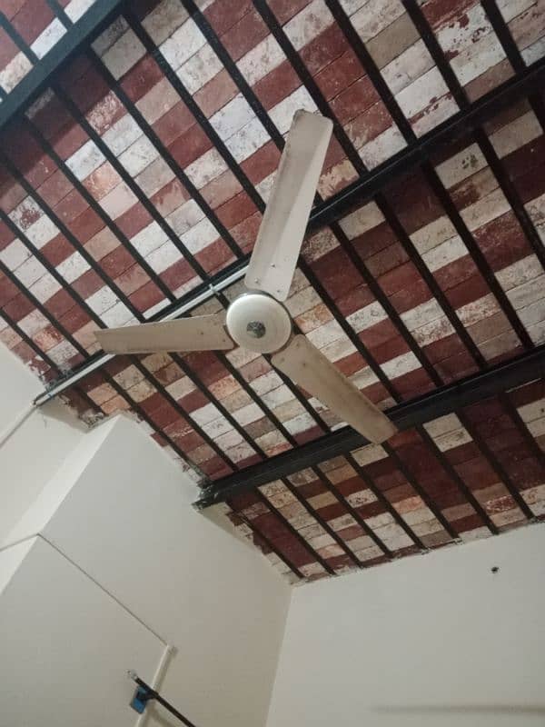 ceiling fan 1