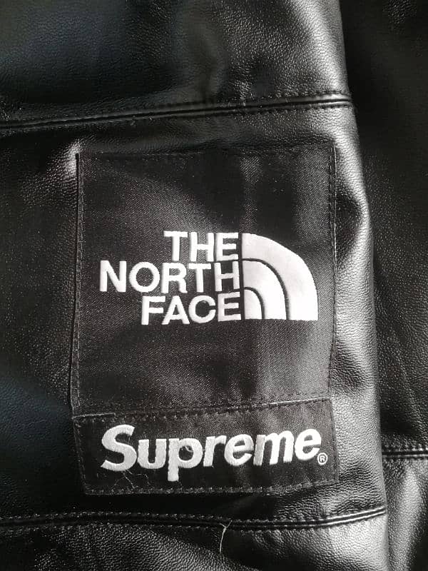 The North Face 3