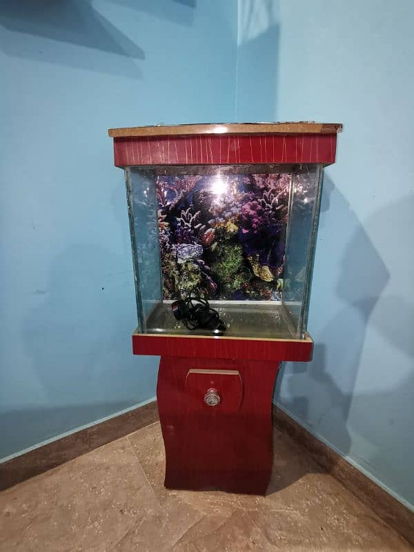 Aquarium for sale whatsapp number (03490137736) 0