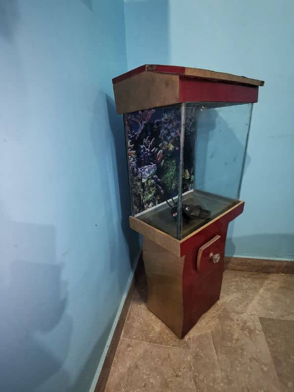 Aquarium for sale whatsapp number (03490137736) 1