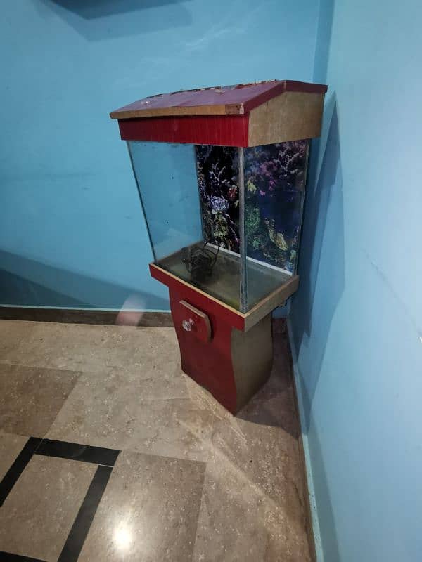 Aquarium for sale whatsapp number (03490137736) 2