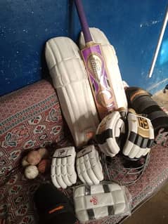 hard ball bat and complete kit