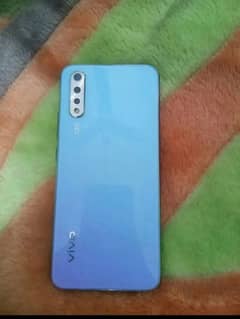 vivo