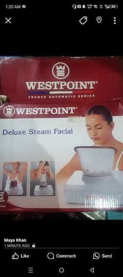 Facial Steamer West Point