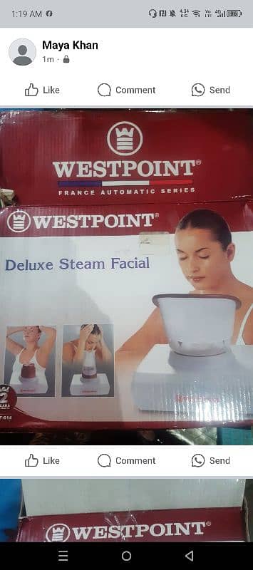 Facial Steamer West Point 5