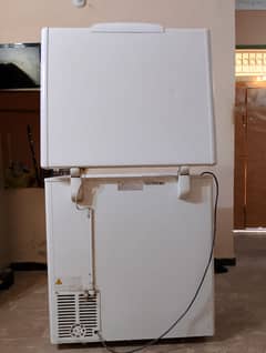 fresh condition freezer