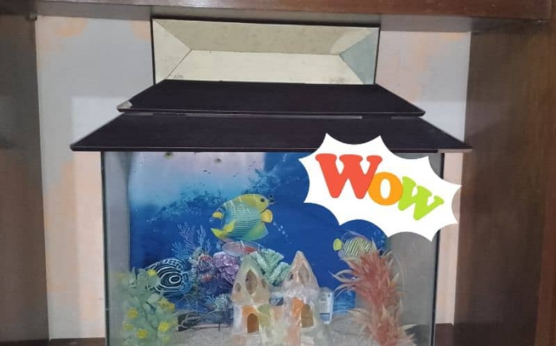 Fish aquarium set 1