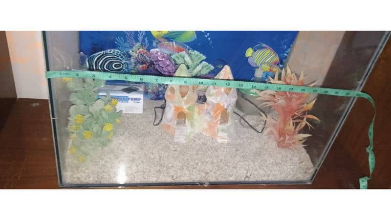 Fish aquarium set 2