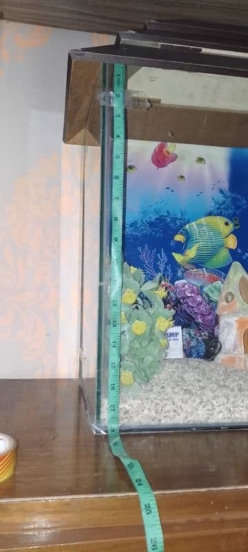 Fish aquarium set 3