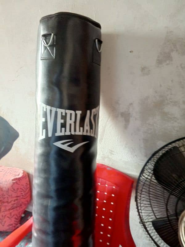 EVERLAST PUNCHING BAG 1