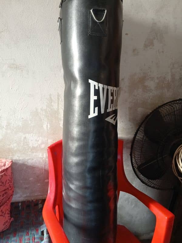 EVERLAST PUNCHING BAG 2