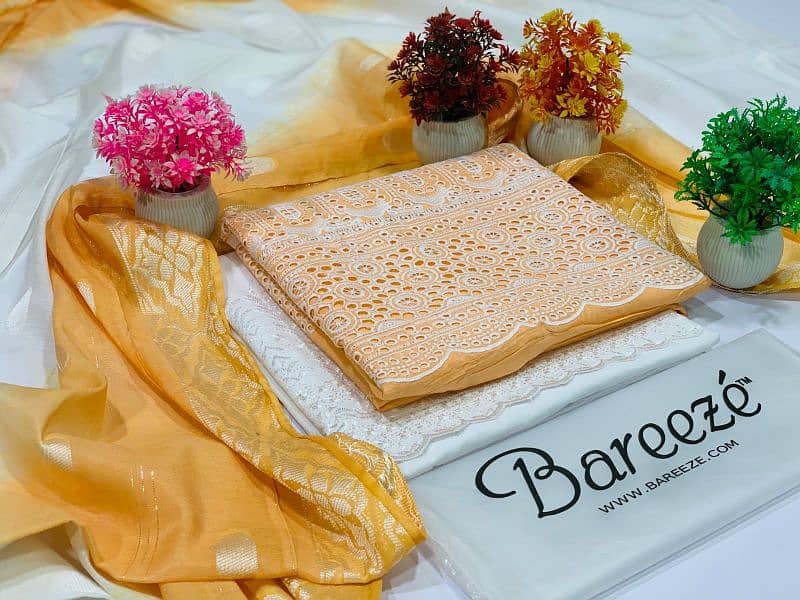 bareeza brand 1