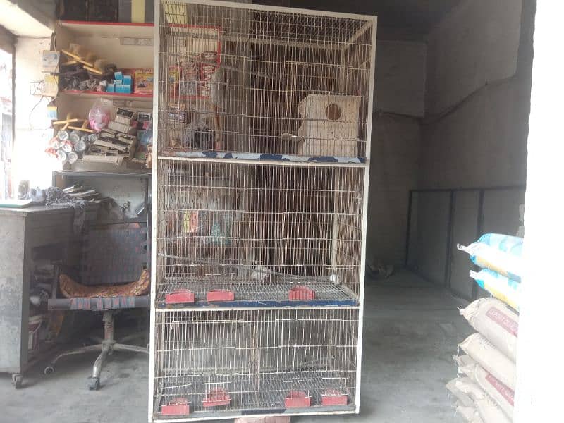 parrot pinjra for sale 0