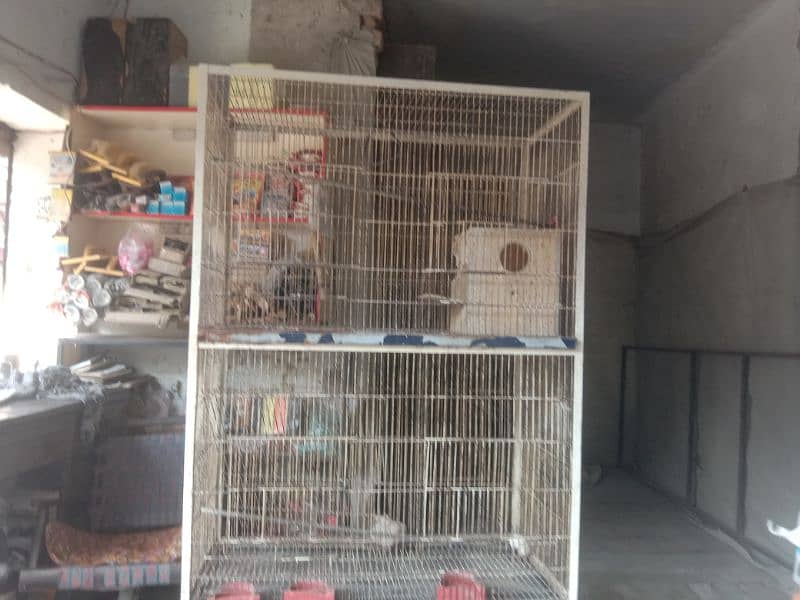 parrot pinjra for sale 1