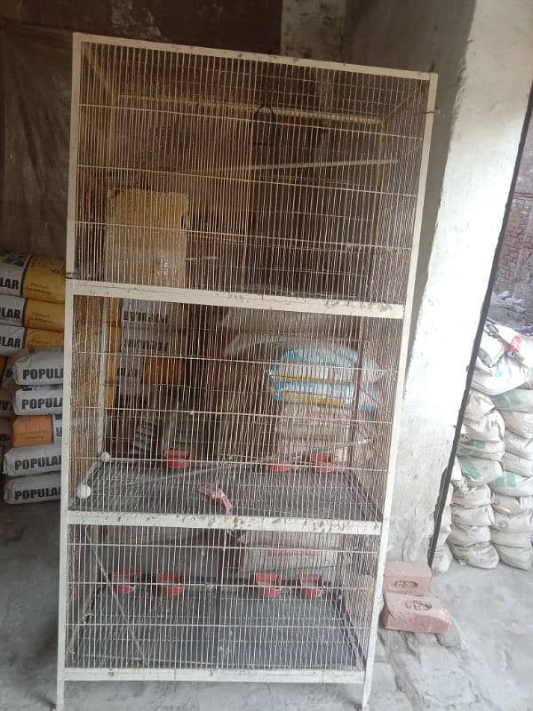 parrot pinjra for sale 2