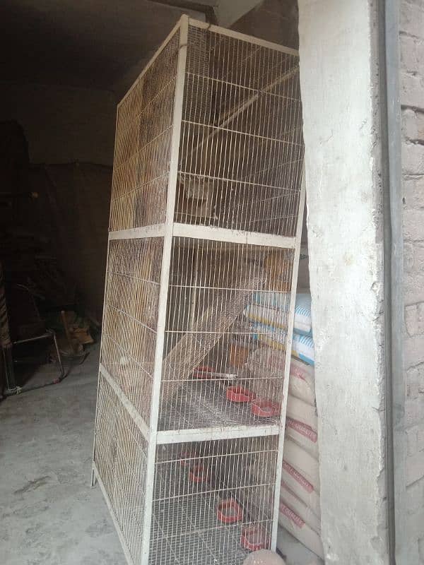 parrot pinjra for sale 3