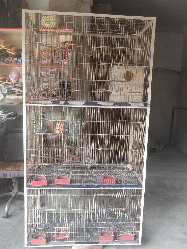 parrot pinjra for sale 4