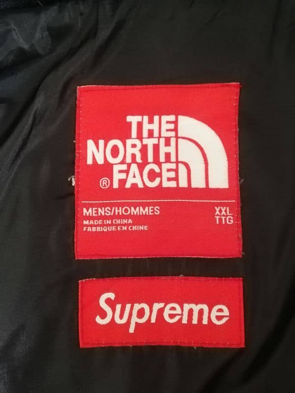 The North Face 11