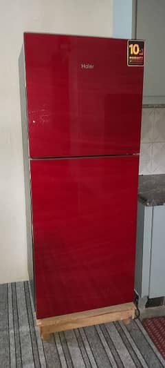 Large size Glass Door Refrigerator