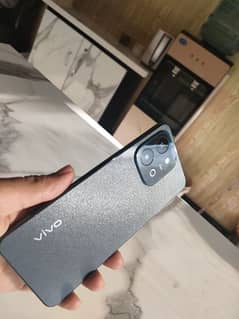 Vivo