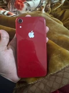 iPhone XR non pta