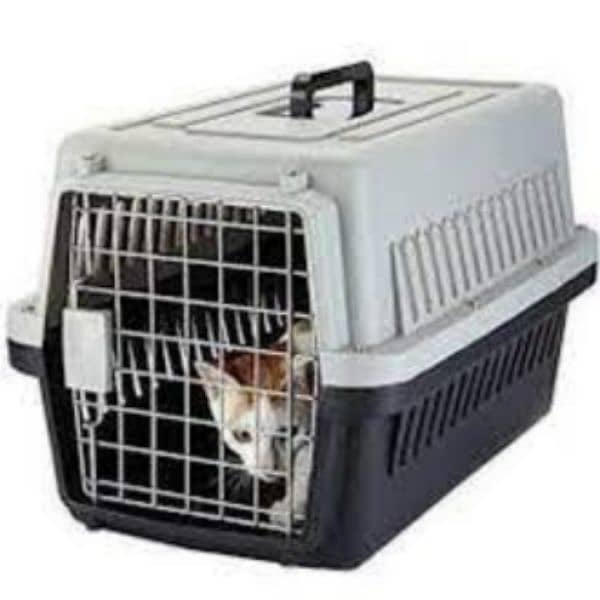 cat with cage and passport 1