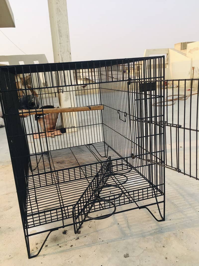 Grey parrot cage 2