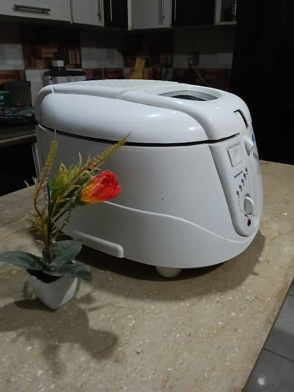 Anex  Deep Fryer 1