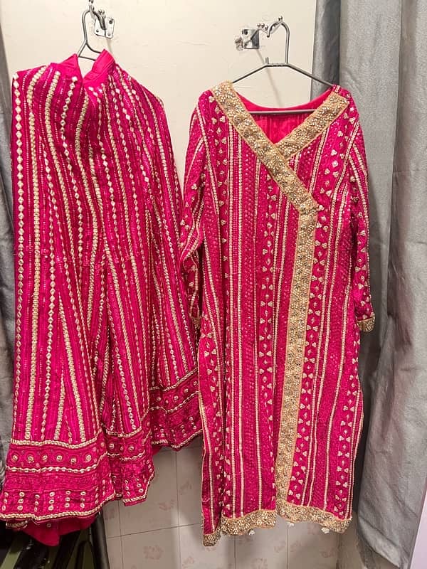 A line shirt with sharara and dupata available in two colors 5