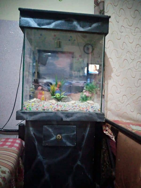 AQUARIUM CONDITION 10/10 4