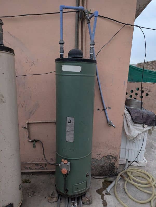 Geyser For Sale In Good Condition 2