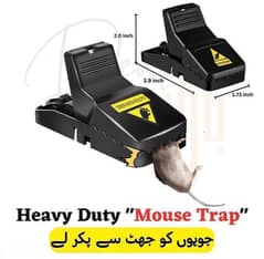 Mouse Trap