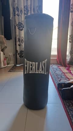 Boxing Bag with gloves