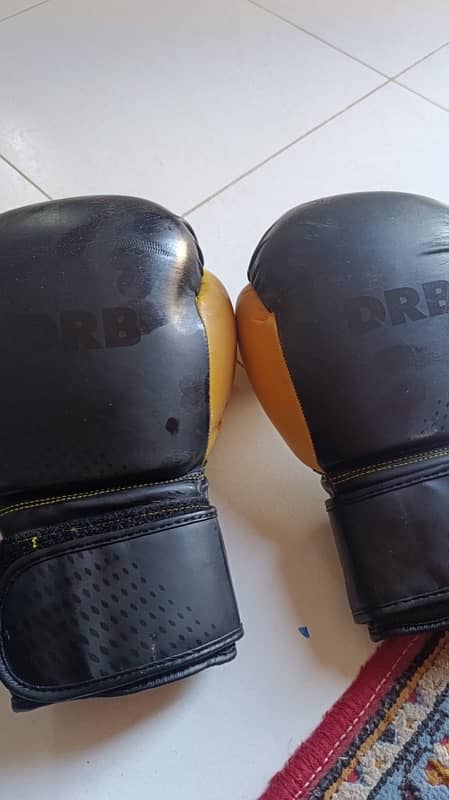 Boxing Bag with gloves 1