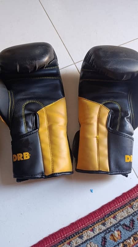 Boxing Bag with gloves 2