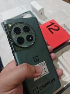 OnePlus 12 16/512gb official Pta just box open